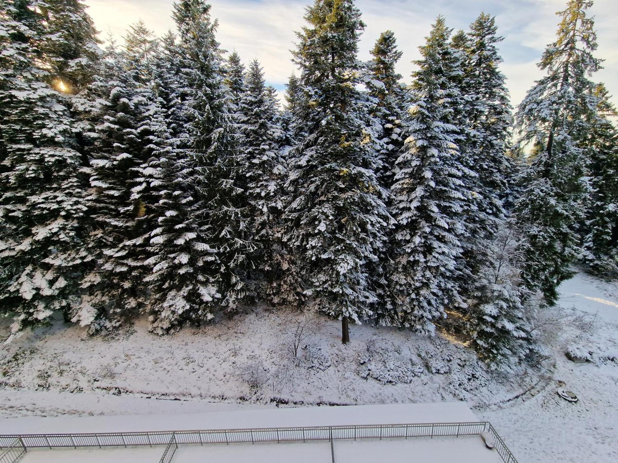 Flora Apartments Tmf Borovets Rum bild