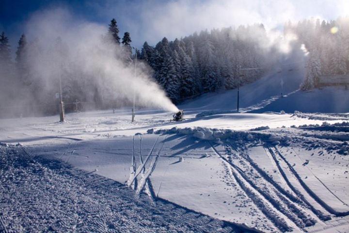 Flora Apartments Tmf Borovets Exteriör bild